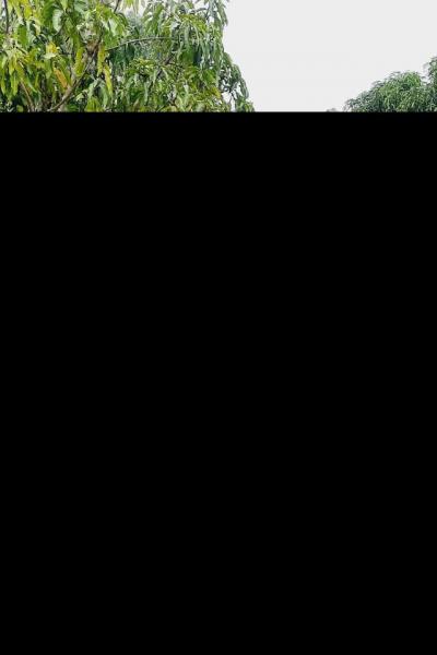 Img 20230327 Wa00282