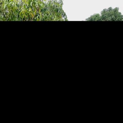 Img 20230327 Wa00288